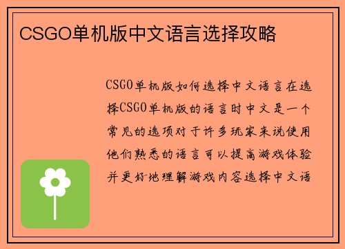 CSGO单机版中文语言选择攻略